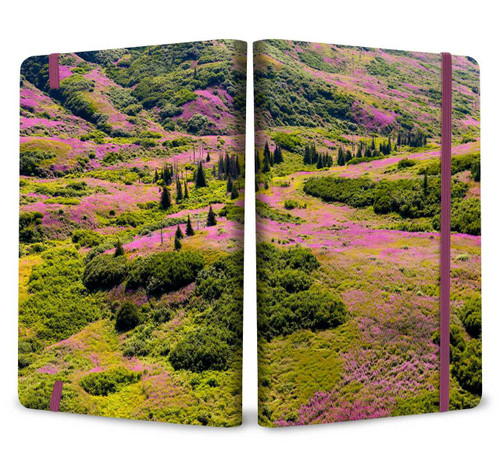 Refuge: Purple Fireweed Softcover Notebook (Kenai National Wildlife Refuge | Gifts for Outdoor Enthusiasts and Nature Lovers | Journals for Hikers | National Parks) by Insights, 9781647224004