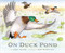 On Duck Pond by Jane Yolen, Bob Marstall, 9781943645367