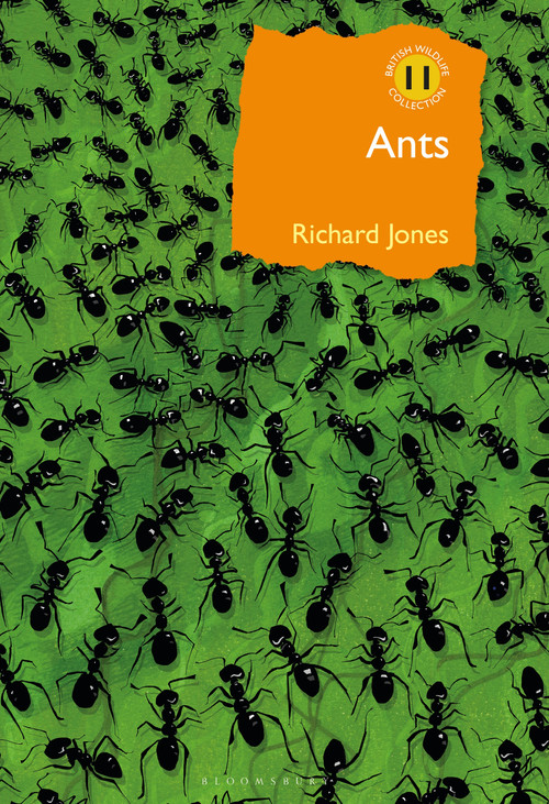 Ants (The ultimate social insects) - 9781472964861 by Richard Jones, 9781472964861