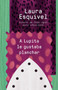 A Lupita le gustaba planchar ([Lupita Always Liked to Iron]) by Laura Esquivel, 9781101969847