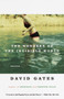 The Wonders of the Invisible World by David Gates, 9780679756446