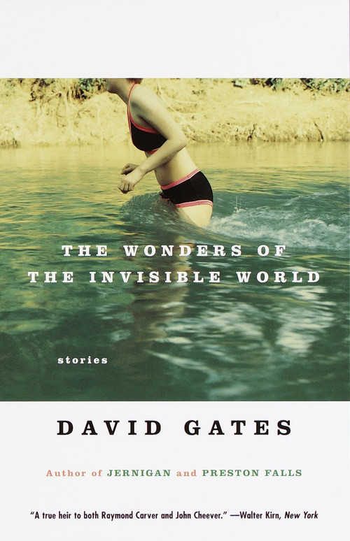 The Wonders of the Invisible World by David Gates, 9780679756446