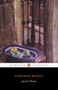 Jacob's Room - 9780140185706 by Virginia Woolf, Sue Roe, Sue Roe, Sue Roe, 9780140185706