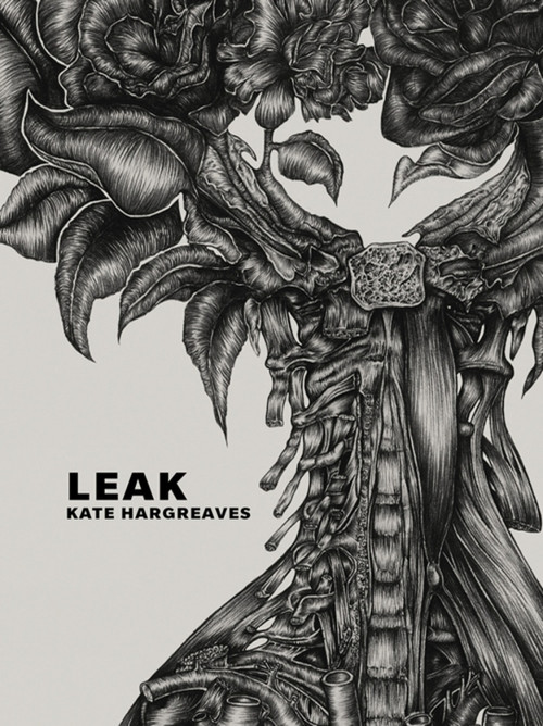 Leak by Kate Hargreaves, 9781771660563