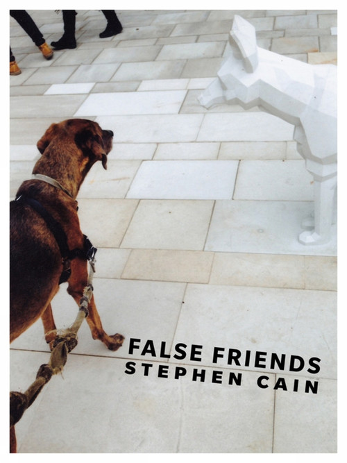 False Friends - 9781771662901 by Stephen Cain, 9781771662901