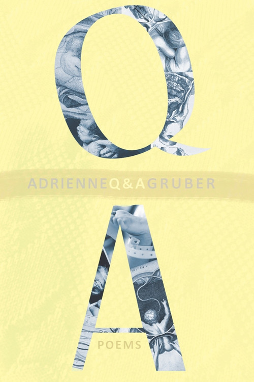 Q & A - 9781771664721 by Adrienne Gruber, 9781771664721