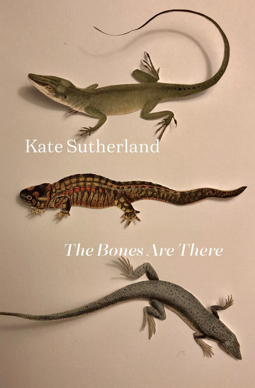 The Bones are There by Kate Sutherland, 9781771666251