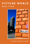 Picture World by Niels Frank, Roger Greenwald, 9781897388853