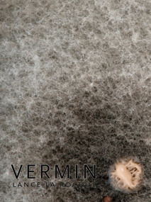 Vermin - 9781897388921 by Lance La Rocque, 9781897388921