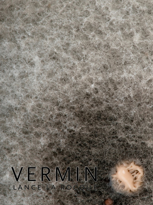 Vermin - 9781897388921 by Lance La Rocque, 9781897388921
