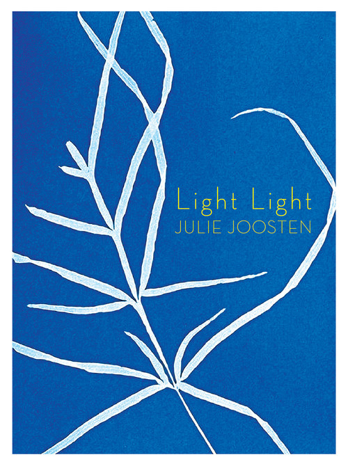 Light Light by Julie Joosten, 9781927040836