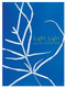 Light Light by Julie Joosten, 9781927040836