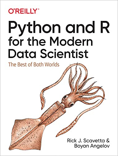 Python and R for the Modern Data Scientist (The Best of Both Worlds) by Rick J. Scavetta, Boyan Angelov, 9781492093404