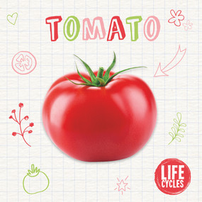 Tomato by Kirsty Holmes, 9781839271618