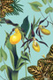Art of Nature: Botanical Card Portfolio Set (Set of 20 Cards) by Insight Editions, 9781647222017