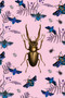 Art of Nature: Botanical Card Portfolio Set (Set of 20 Cards) by Insight Editions, 9781647222017