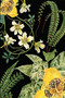 Art of Nature: Botanical Card Portfolio Set (Set of 20 Cards) by Insight Editions, 9781647222017