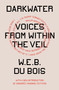 Darkwater (Voices from Within the Veil) - 9781839764073 by W.E.B. Du Bois, Honoree Fanonne Jeffers, 9781839764073