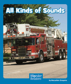 All Kinds of Sounds by Maryellen Gregoire, 9781429678384