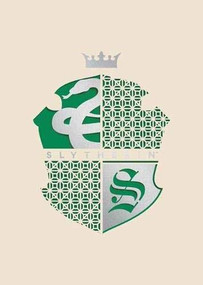 HARRY POTTER: SLYTHERIN LASER DIE-CUT CARD by INSIGHT EDITIONS,, 9781682986370