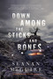 Down Among the Sticks and Bones by Seanan McGuire, 9780765392039