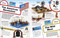 LEGO Epic History (Includes Four Exclusive LEGO Mini Models) by Rona Skene, 9781465490056