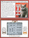Grouchy Cat - 602394036216, 602394036216
