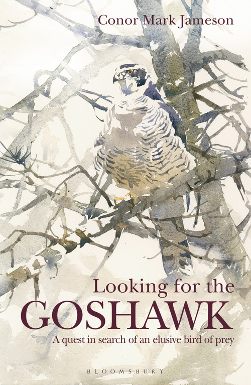 Looking for the Goshawk by Conor Mark Jameson, 9781472969170