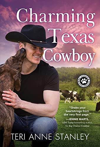 Charming Texas Cowboy by Teri Anne Stanley, 9781492658054