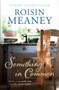 Something in Common by Roisin Meaney, 9781444743548