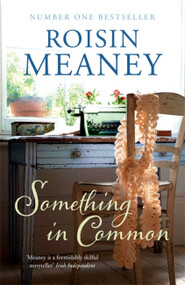 Something in Common by Roisin Meaney, 9781444743548