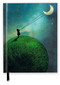 Catrin Welz-Stein: Chasing the Moon (Blank Sketch Book) by Flame Tree Studio, 9781839647284