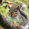 Forest Fun by Zoë Clarke, 9780711244191