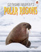 Polar Regions by Emily Kington, 9781914087066