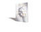 Balancing Acts (Unleashing the Power of Creativity in Your Life and Work) by Daniel Lamarre, 9781400223022