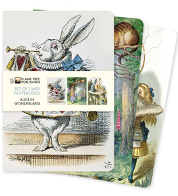 Alice in Wonderland Set of 3 Midi Notebooks by Flame Tree Studio, 9781839647673