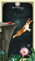 The Tarot of Curious Creatures (A 78 (+1) Card Deck and Guidebook) by Chris-Anne, 9781401963262