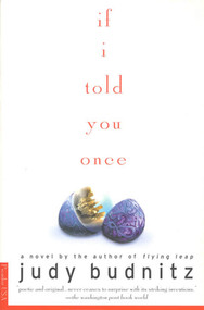 If I Told You Once (A Novel) by Judy Budnitz, 9780312267513