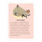 Affirmators! Deck: Affirmators At Work by Knock Knock , 9781683490555
