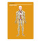 Things That Might Kill You (Deck): Things That Might Kill YOU by Knock Knock , 9781683490753