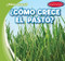 ¿Cómo crece la hierba? (How Does Grass Grow?) by Kathleen Connors, Diana Osorio, 9781538268254