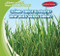 ¿Cómo crece la hierba? / How Does Grass Grow? by Kathleen Connors, 9781538269473