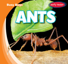 Ants - 9781538263174 by Bray Jacobson, 9781538263174
