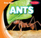 Ants - 9781538263198 by Bray Jacobson, 9781538263198