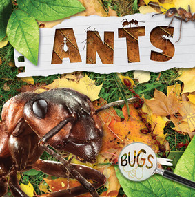 Ants - 9781534537521 by William Anthony, 9781534537521