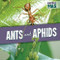 Ants and Aphids by Janey Levy, 9781538266700