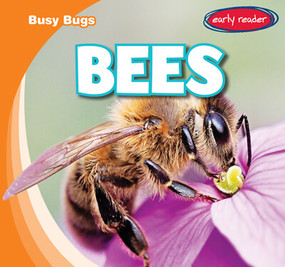 Bees - 9781538263235 by Bray Jacobson, 9781538263235
