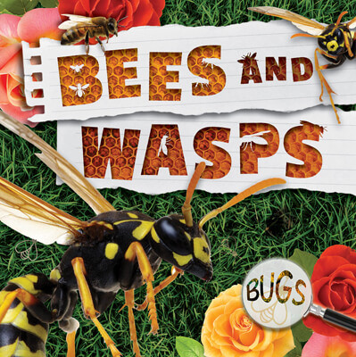 Bees and Wasps - 9781534537569 by William Anthony, 9781534537569