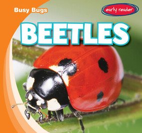 Beetles - 9781538263273 by Bray Jacobson, 9781538263273