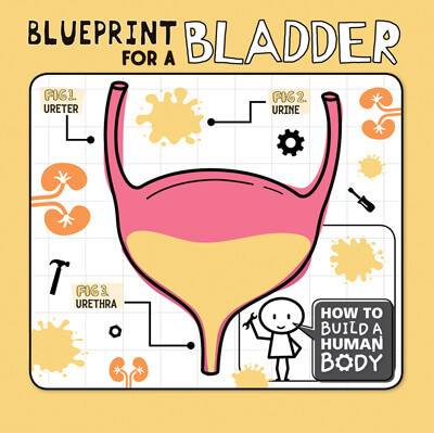 Blueprint for a Bladder by Kirsty Holmes, 9781978519114